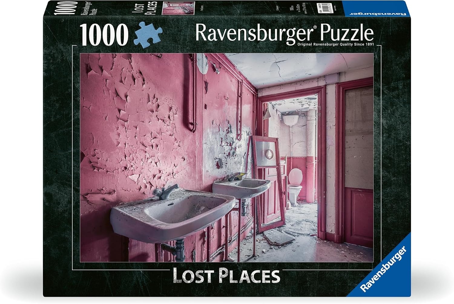 image:imageRavensburger Puzzle 12000273 Lost Places Pink Dreams 1000 Teile Puzzle fr Erwachsene und Kinder ab 14 Jahren Lost Places PuzzleModern