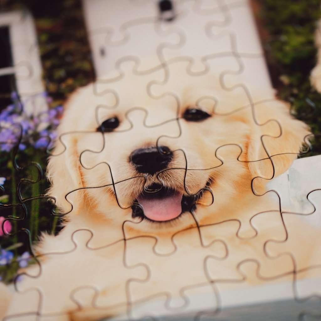 image:imageRavensburger Puzzle Golden Retriever 200 groe PuzzleTeile