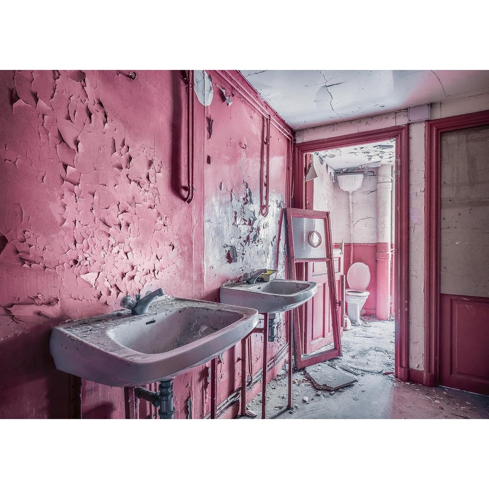 image:imageRavensburger Puzzle 12000273 Lost Places Pink Dreams 1000 Teile Puzzle fr Erwachsene und Kinder ab 14 Jahren Lost Places PuzzleModern