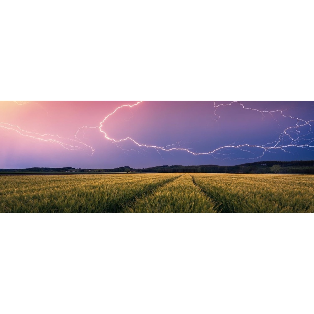 image:imageRavensburger Puzzle 12000685 Nature Edition Sommergewitter 500 Teile Puzzle fr Erwachsene und Kinder ab 12 Jahren Puzzle mit Landschaft und NaturCollage