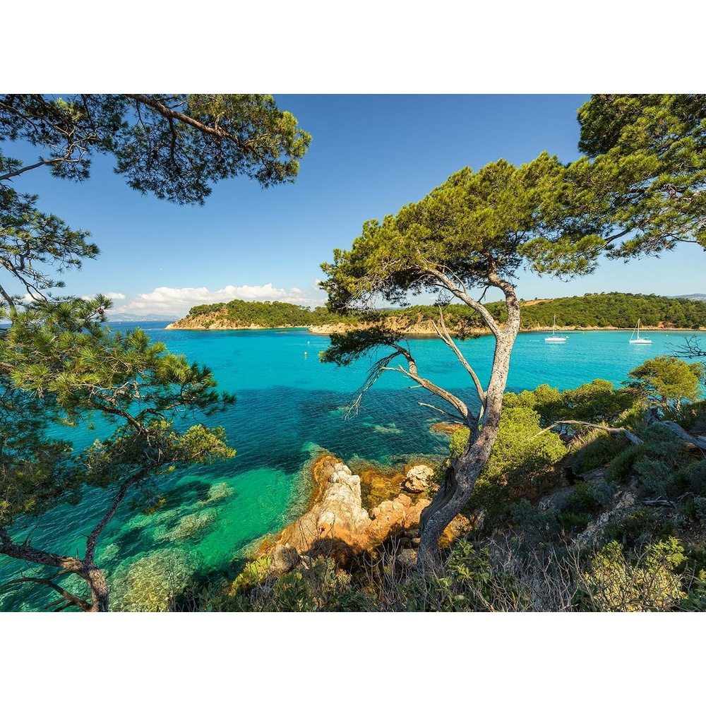 image:imageRavensburger Puzzle Schne Aussicht 500 Teile Puzzle fr ErwachseneModern
