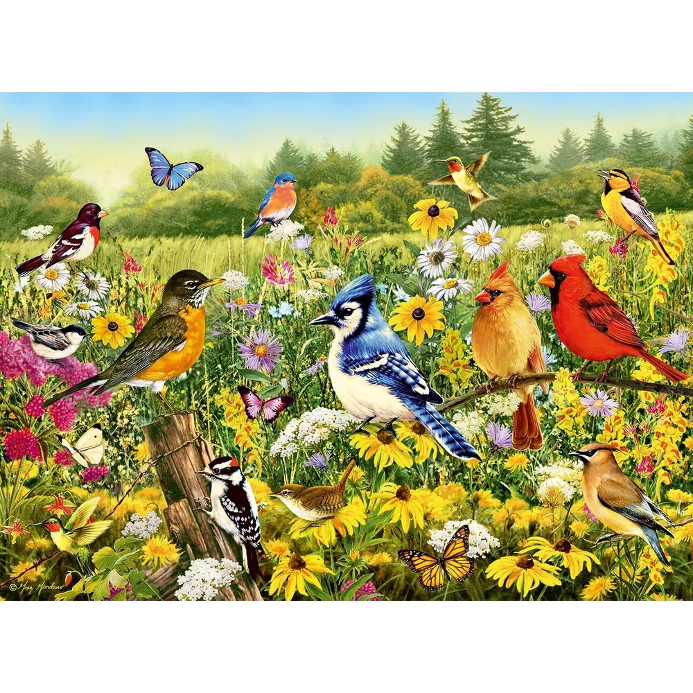 image:imageRavensburger Puzzle Vogelwiese 500 Teile Puzzle fr ErwachseneModern