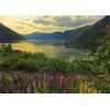 Ravensburger Puzzle 12000115 – Scandinavian Places, Fjord in Norwegen – 1000 Teile Puzzle für Erwachsene und Kinder ab 14 Jahren, Puzzle mit Norwegen-Motiv(Modern)
