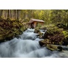 Ravensburger Puzzle 12000604 – Mühle am Gollinger Wasserfall – 1000 Teile Puzzle für Erwachsene und Kinder ab 14 Jahren,(Antik)