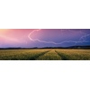 Ravensburger Puzzle 12000685 – Nature Edition, Sommergewitter – 500 Teile Puzzle für Erwachsene und Kinder ab 12 Jahren, Puzzle mit Landschaft und Natur(Antik)