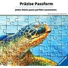 Ravensburger Puzzle Challenge: Star Wars – 1000 Teile Puzzle für Erwachsene(Ahsoka)