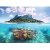 Ravensburger Puzzle Delfine im Korallenriff – 500 Teile Puzzle(Insel und Korallenwelt)