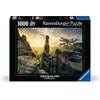 Ravensburger Puzzle Erleuchtung – Elbsandsteingebirge – 1000 Teile Puzzle(Modern)
