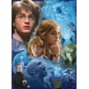 Ravensburger Puzzle Harry Potter in Hogwarts – 500 Teile Puzzle(Antik)