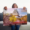 Ravensburger Puzzle Kirschblüte in Japan – 1000 Teile Puzzle für Erwachsene(Himeji Castle)