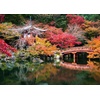 Ravensburger Puzzle Kirschblüte in Japan – 1000 Teile Puzzle für Erwachsene(Klassisch)