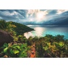 Ravensburger Puzzle Pferd am Strand – 500 Teile Puzzle für Erwachsene(Hawaii)