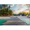 Ravensburger Puzzle Pferd am Strand – 500 Teile Puzzle für Erwachsene(Karibische Insel)