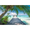 Ravensburger Puzzle Pferd am Strand – 500 Teile Puzzle für Erwachsene(Traumstrand auf den Malediven)
