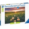 Ravensburger Puzzle Pusteblumen im Sonnenuntergang – 500 Teile Puzzle(Antik)
