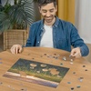 Ravensburger Puzzle Pusteblumen im Sonnenuntergang – 500 Teile Puzzle(Modern)