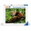 Ravensburger Puzzle Süßer roter Panda – 500 Teile Puzzle für Erwachsene(Modern)