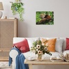 Ravensburger Puzzle Süßer roter Panda – 500 Teile Puzzle für Erwachsene(Modern)
