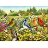 Ravensburger Puzzle Vogelwiese – 500 Teile Puzzle für Erwachsene(Educational)