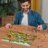 Ravensburger Puzzle Vogelwiese – 500 Teile Puzzle für Erwachsene(Modern)