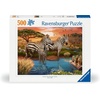 Ravensburger Puzzle Zebras am Wasserloch – 500 Teile Puzzle für Erwachsene(Zebras am Wasserloch)