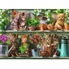 Ravensburger für Erwachsenenpuzzle Katzen im Regal – 500 Teile Puzzle(Klassisch)