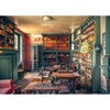 image:imageRavensburger Puzzle 12000180  Singer Library Lost Places  1000 Teile Puzzle fr Erwachsene und Kinder ab 14 Jahren Lost Places PuzzleAntik