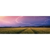 Ravensburger Puzzle 12000685 – Nature Edition, Sommergewitter – 500 Teile Puzzle für Erwachsene und Kinder ab 12 Jahren, Puzzle mit Landschaft und Natur(Collage)