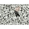 Ravensburger Puzzle Challenge: Star Wars – 1000 Teile Puzzle für Erwachsene(Challenge Star Wars)