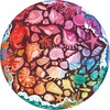 Ravensburger Puzzle Circle of Colors Tiere – Rundes 500 Teile Puzzle(Mehrfarbig.)
