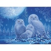 Ravensburger Puzzle Eulen im Mondschein – 500 Teile Puzzle für Erwachsene(Modern)