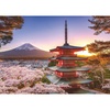 Ravensburger Puzzle Kirschblüte in Japan – 1000 Teile Puzzle für Erwachsene(Kirschblüte Japan)