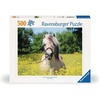 Ravensburger Puzzle Pferd im Rapsfeld – 500 Teile Puzzle für Erwachsene(Klassisch)