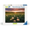 Ravensburger Puzzle Pusteblumen im Sonnenuntergang – 500 Teile Puzzle(Modern)