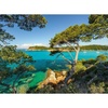 Ravensburger Puzzle Schöne Aussicht – 500 Teile Puzzle für Erwachsene(Modern)
