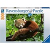 Ravensburger Puzzle Süßer roter Panda – 500 Teile Puzzle für Erwachsene(Antik)