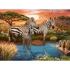 image:imageRavensburger Puzzle Zebras am Wasserloch  500 Teile Puzzle fr ErwachseneZebras am Wasserloch