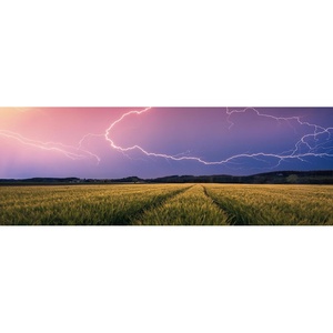Ravensburger Puzzle 12000685 – Nature Edition, Sommergewitter – 500 Teile Puzzle für Erwachsene und Kinder ab 12 Jahren, Puzzle mit Landschaft und Natur(Collage)