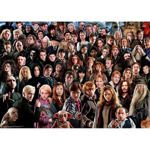 Ravensburger Puzzle Der Zauberschüler Harry Potter – 1000 Teile Puzzle(Harry-Potter-Thema)