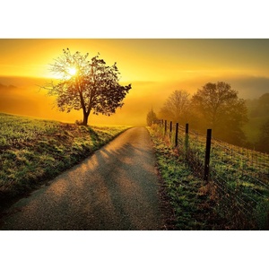 Ravensburger Puzzle Landschaft in der Morgensonne – 1000 Teile Puzzle(Modern)