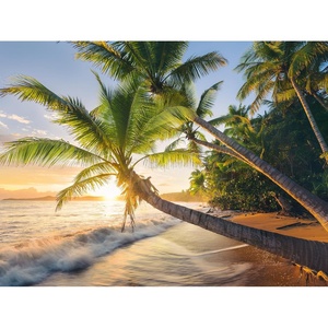 Ravensburger Puzzle Pferd am Strand – 500 Teile Puzzle für Erwachsene(Strandgeheimnis)