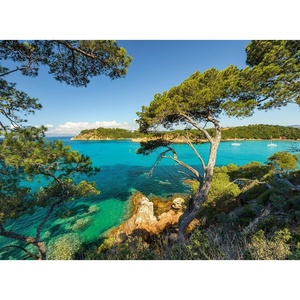 Ravensburger Puzzle Schöne Aussicht – 500 Teile Puzzle für Erwachsene(Antik)